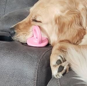 Meet your Posher, Sandy